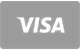 Visa card payment method accepted at Lucky Casino